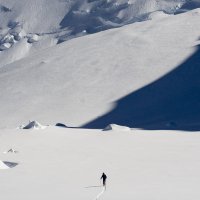 Denali (241)