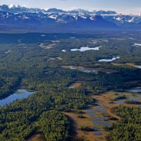 Denali (48)