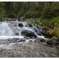 Paradise Creek