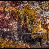 Petrified-Forest-RX_027