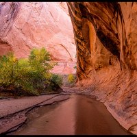 Coyote-Gulch_1082-Pano