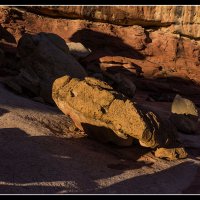 Cohab-Canyon-Yoga-Pano-3