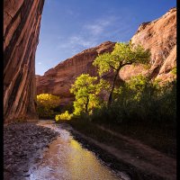 Coyote-Gulch_0274