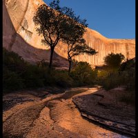 Coyote-Gulch_0364
