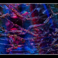 CD-Micro-Art-(17)