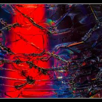 CD-Micro-Art-(21)