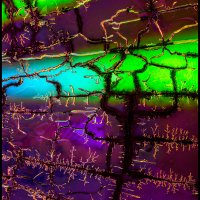 CD-Micro-Art-(25)
