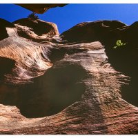 Kanarra Creek Slot Canyon