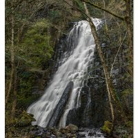 Fall Creek Falls
