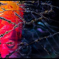 CD-Micro-Art-2.28-(22)