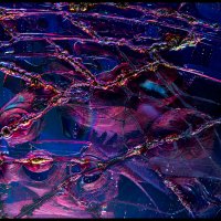 CD-Micro-Art-2.28-(23)