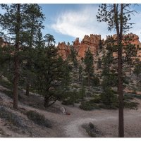 View From The Trails