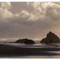 Nature Loves an Audience