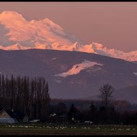 Skagit-Birds-3.10.18-(243)-Pano
