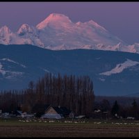 Skagit-Birds-3.10.18-(248)