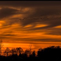 Skagit-Sunset-3.12.18-(133)