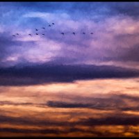 Skagit-Sunset-3.12.18-(149p2)