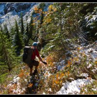 Sheep-Gap-approach-4