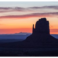 Mitten Morning