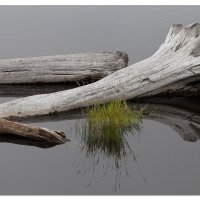 Kalaloch Lagoon