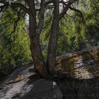 Granite Splitter