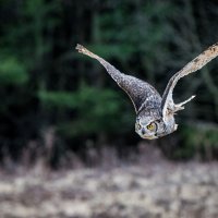 _DSC5240