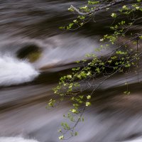 Above The Rapids