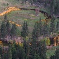 Golden Reflections From Above