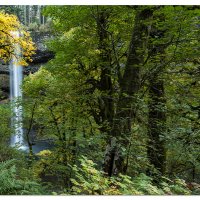 Silver Falls South Falls