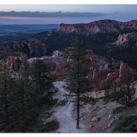 Bryce Before Dawn