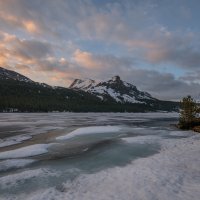 Frozen Tioga with Dana