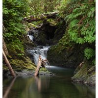 Willaby Creek Falls