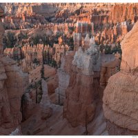 Bryce Sunrise from a Trail