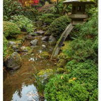 Moonbridge Fall