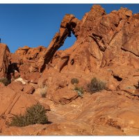 Valley of Fire Elephant