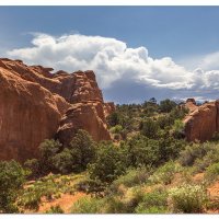 Arches Scenery