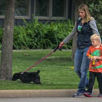 72K_1365 T1ab  9x16  1000