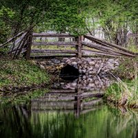 D7K_8455_t1a  9x16  1000