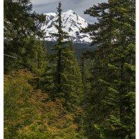 Mt. Adams