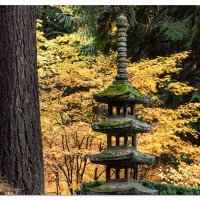 Fall Pagoda