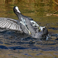 7D2_0695.jpg