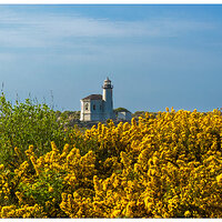 CoquilleLighthouse041507.jpg