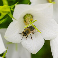 _P3M0583 LDN kopie.jpg