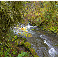 SC-SmoothWater110823.jpg