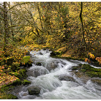 SC-MiddleArea110323-2.jpg