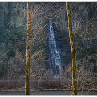C5D4_PalisadeFalls012924.jpg