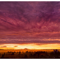 DJI_M3P_70_HoodSunrise012924-2.jpg
