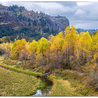 DJI_M3P_70_YoungCreek102323.jpg