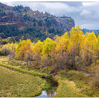 DJI_M3P_70_YoungCreek102323-2.jpg