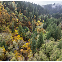 DJI_M3P_24_SNF-NForkRd110623.jpg